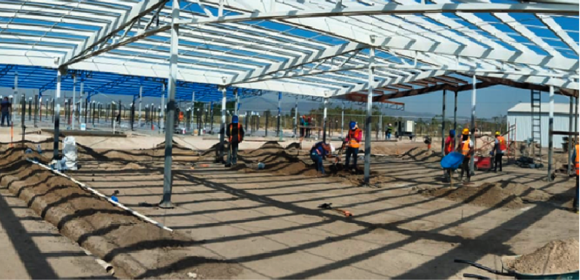 Proyecto Virbac México 2