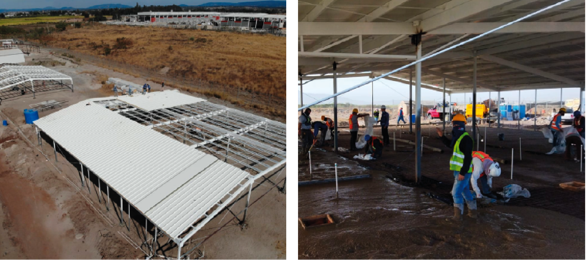Proyecto Virbac México 1